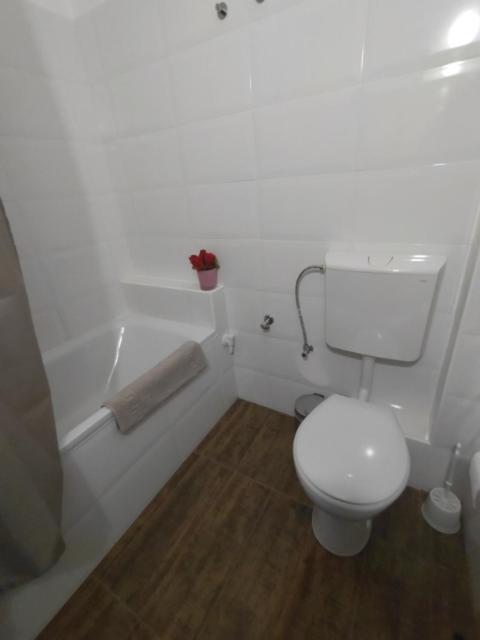 Sziget Apartman 埃格尔 外观 照片